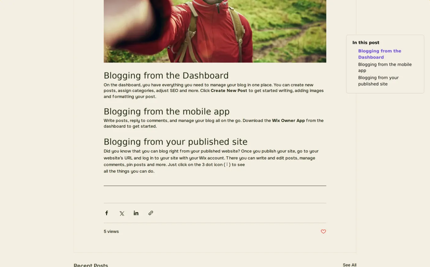A Wix blog post with a sticky "In this post" table of contents beside the text, highlighting the current section.